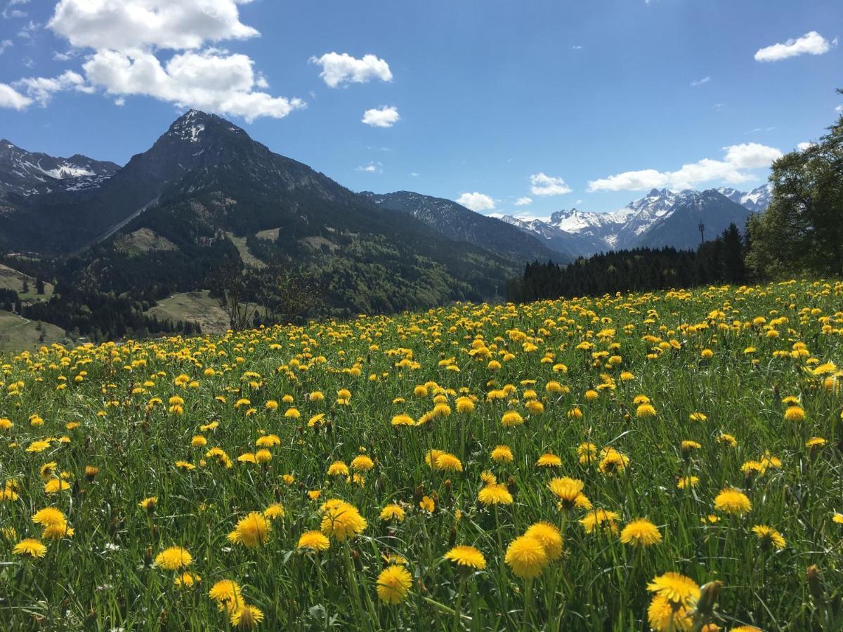 Bergfex Gaisalphorn Mit Sommer-Bergbahnticket 奥伯斯特多夫 外观 照片